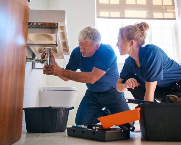 Best Local Plumber Services  in Bellwood, PA